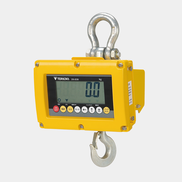 DS-209-WP01