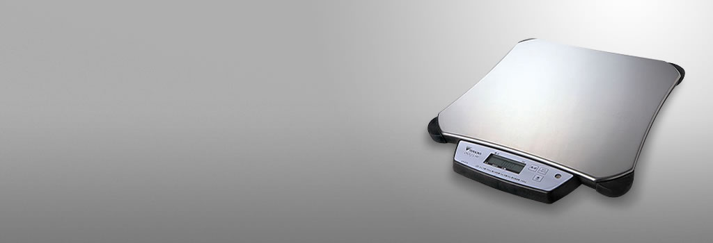 DS-875 DIGI SLIM-WS02